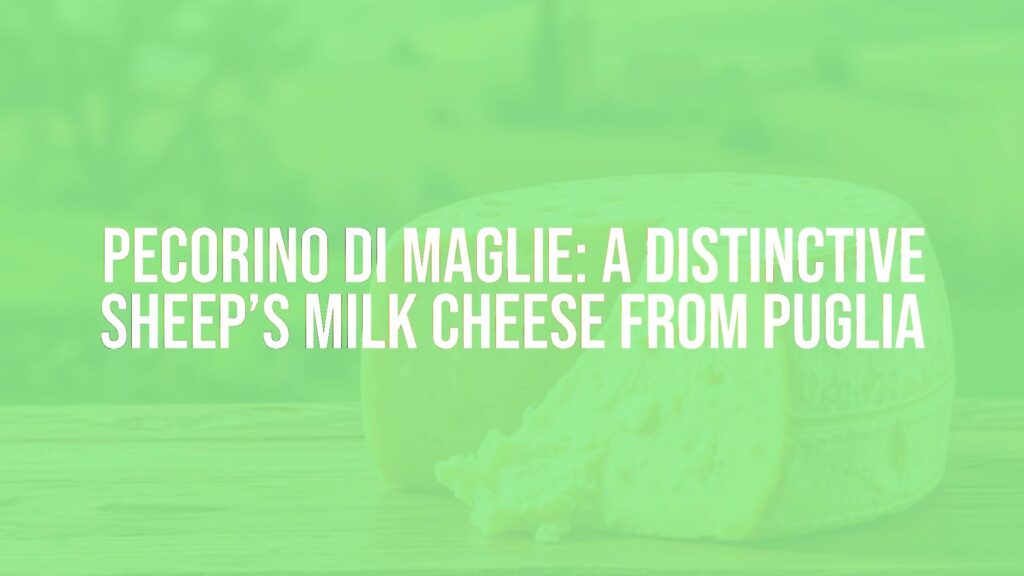 A rustic wheel of Pecorino di Maglie cheese on a wooden table, showcasing its golden rind and crumbly texture, with a backdrop of Italian countryside, warm lighting, realistic.