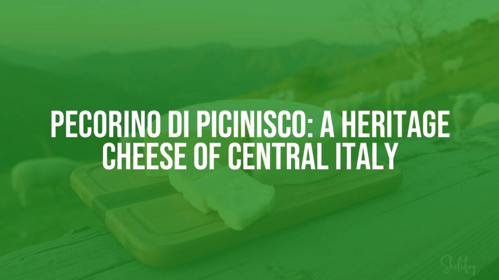 Traditional Pecorino di Picinisco cheese on a wooden board, Apennine mountain landscape in the background, artisanal sheep farming scene, rustic Italian countryside, realistic and warm lighting.