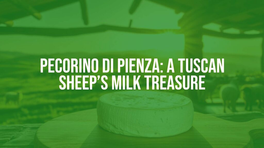 A rustic wheel of Pecorino di Pienza cheese on a wooden board, Tuscan countryside backdrop with rolling hills and sheep grazing, warm golden sunlight, traditional Italian farmhouse setting, realistic.