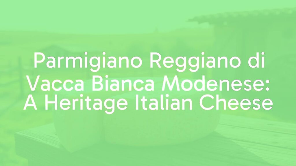 A rustic wheel of Parmigiano Reggiano cheese made from Modenese White Cow milk, displayed on a wooden table in an Italian countryside setting, golden sunlight, traditional and artisanal vibe, realistic.