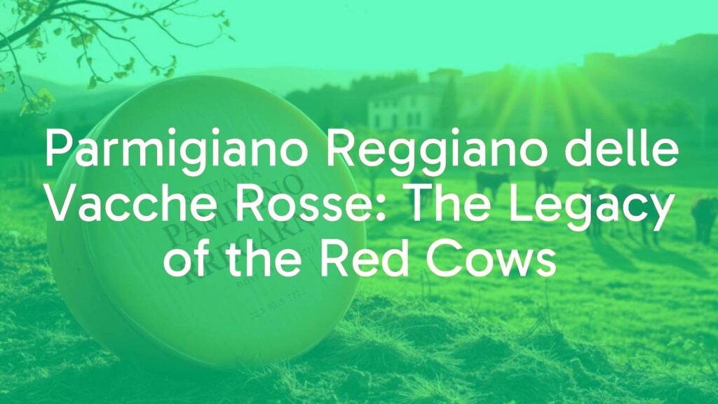 A wheel of Parmigiano Reggiano delle Vacche Rosse cheese in a rustic Italian countryside setting, Red Reggiana cows grazing nearby, warm golden lighting, photorealistic.