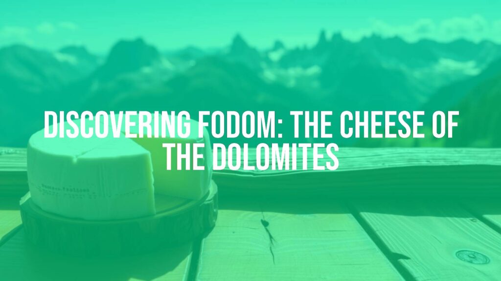 A wheel of Fodom cheese on a rustic wooden table with the Dolomites in the background, natural lighting, realistic.