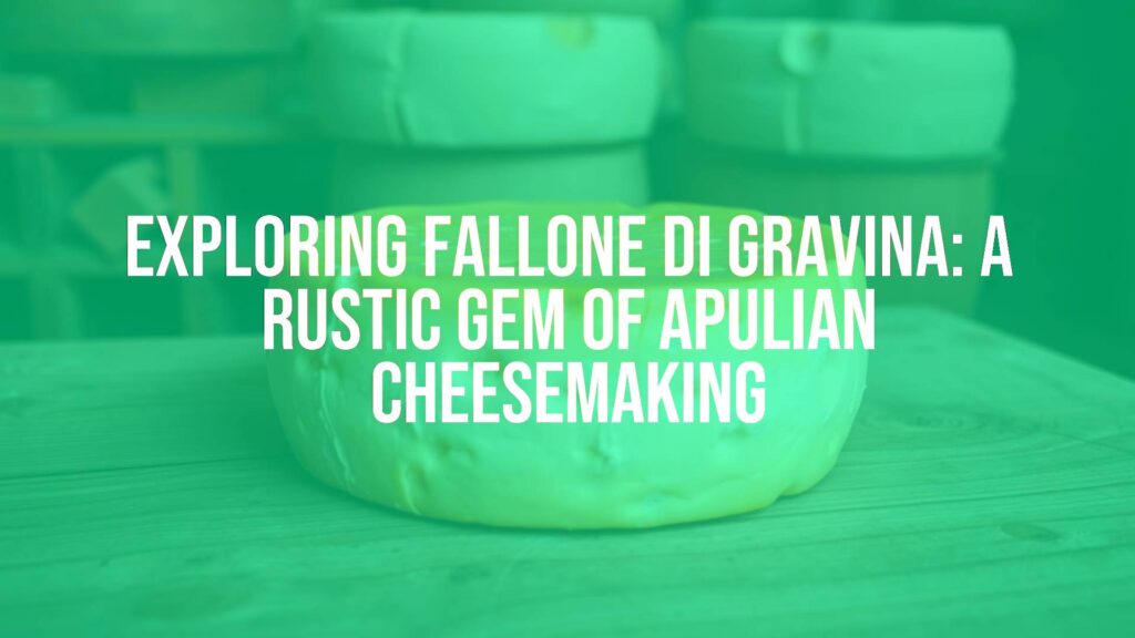 Exploring Fallone di Gravina: A Rustic Gem of Apulian Cheesemaking