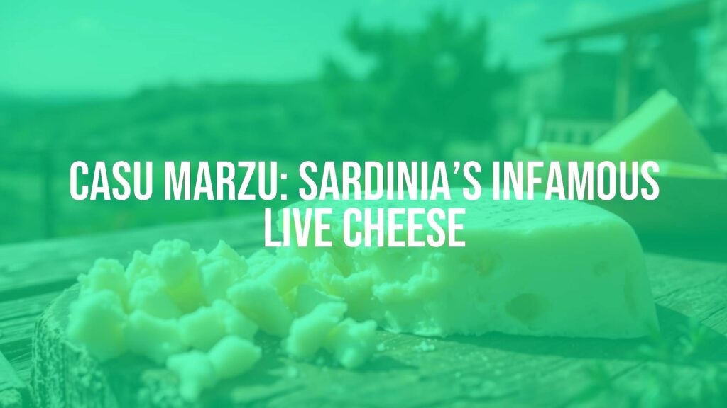 Sardinian Casu Marzu cheese with live larvae, close-up shot, creamy texture, rustic wooden table, Mediterranean countryside backdrop, natural lighting, realistic.