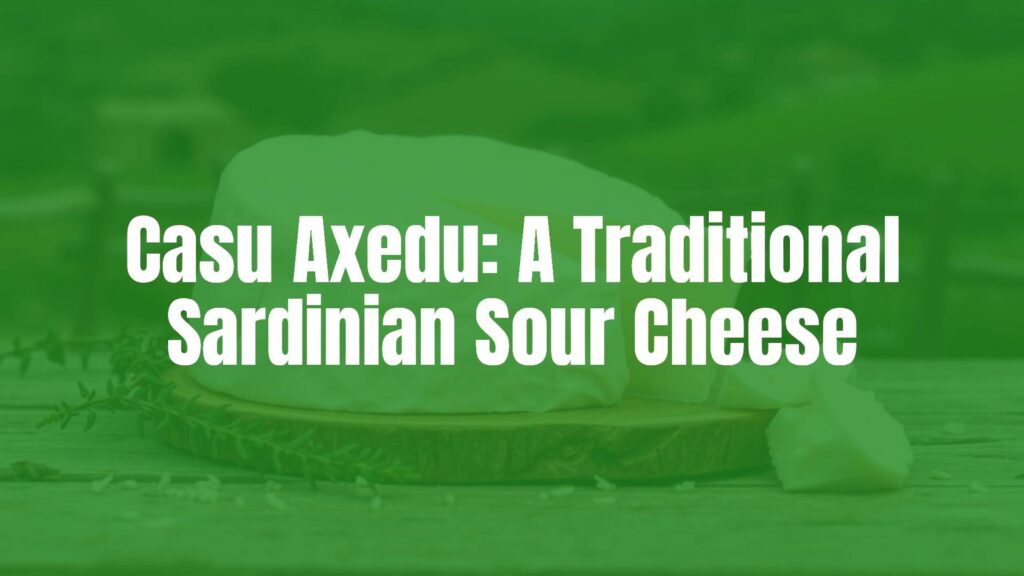 Traditional Sardinian Casu Axedu sour cheese, fresh white curd, rustic wooden table, Sardinian countryside backdrop, soft lighting, realistic.
