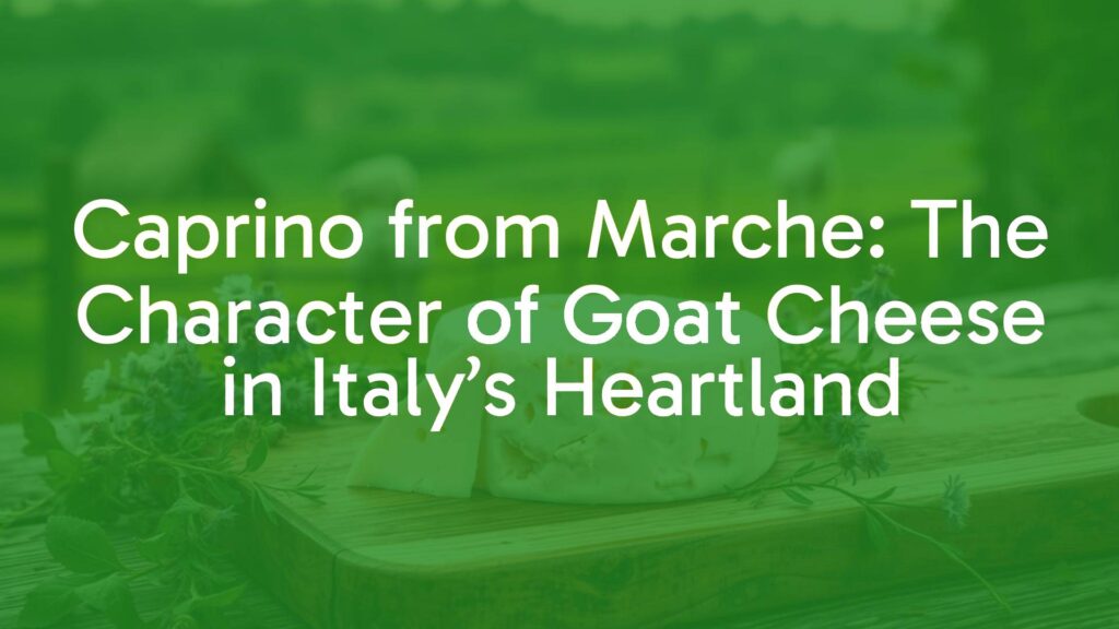 Caprino from Marche: The Character of Goat Cheese in Italy’s Heartland