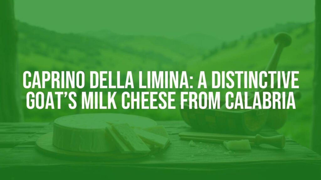 Artisanal goat cheese, Calabrian mountains, rustic wooden table, traditional cheese-making tools, lush green pastures in background, soft natural lighting, realistic.