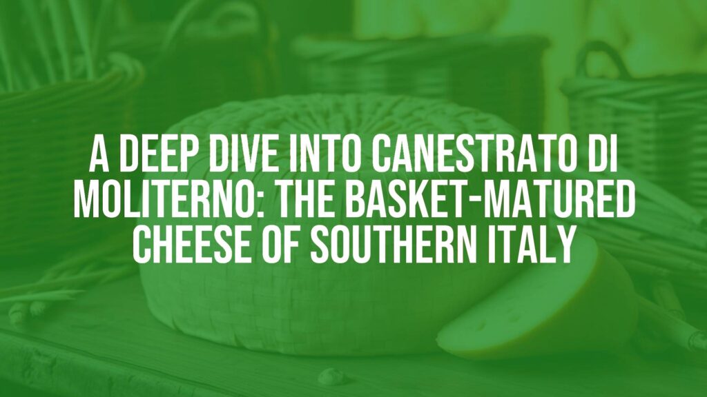 Canestrato Pugliese cheese on a rustic wooden table, straw-yellow paste with a patterned rind, Apulia countryside in the background, warm sunlight, realistic food photography.