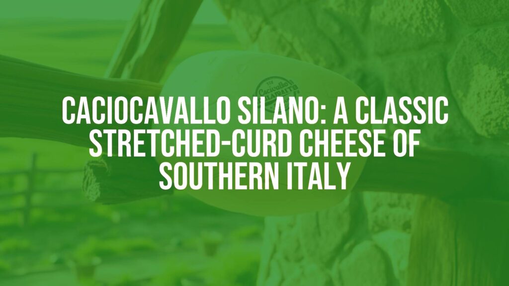 Caciocavallo Silano: A Classic Stretched-Curd Cheese of Southern Italy