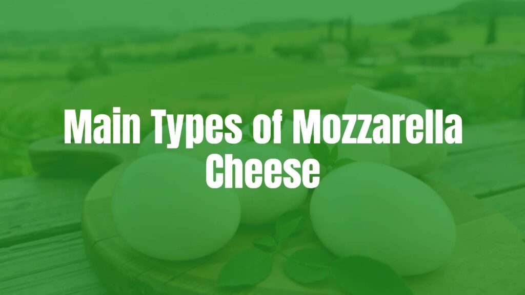 Assortment of fresh mozzarella cheeses on a wooden board, soft and creamy texture, Italian countryside background, rustic and appetizing style.