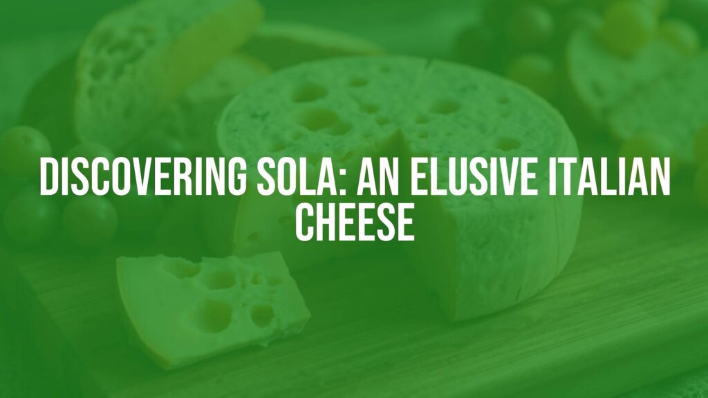 A rustic Italian cheese wheel of Sola, semi-soft texture with irregular holes, pale yellow interior, thin natural rind, on a wooden cutting board with fresh bread and grapes, warm golden lighting.