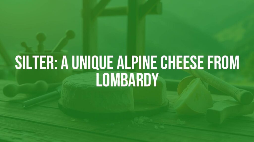 A rustic wheel of Silter cheese on a wooden table, Alpine valley landscape in the background, warm sunlight, traditional Italian cheese-making tools nearby, realistic.