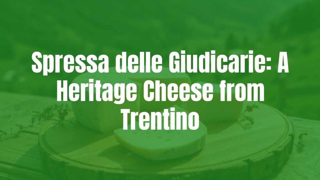 Traditional Spressa delle Giudicarie cheese on a wooden board, rustic Italian countryside background, Trentino valley scenery, warm natural lighting, realistic food photography.