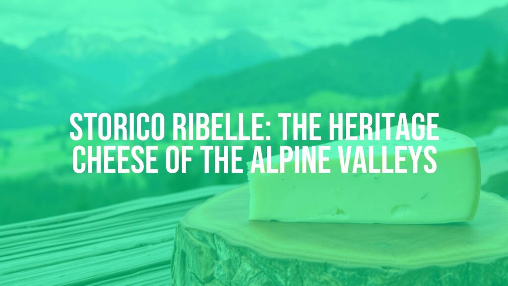 Italian Storico Ribelle cheese on a wooden board, alpine valley background, rustic and traditional vibe, realistic.