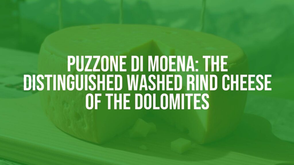 A rustic wheel of Puzzone di Moena cheese, orange-tinted rind, soft creamy interior, on a wooden board in a traditional alpine setting, Dolomites in the background, realistic.